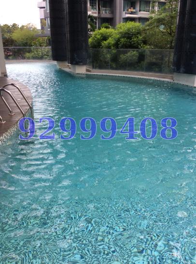Lucida (D11), Apartment #67111002